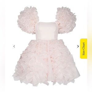 SOLD BNWT Selkie The Strawberry Milk Paris Dress (S)